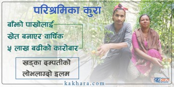 ‘किन जान्छौ दाजु भाइ विदेशमा स्वदेशमै हिरा मोती छ’ (भिडिओ सहित)